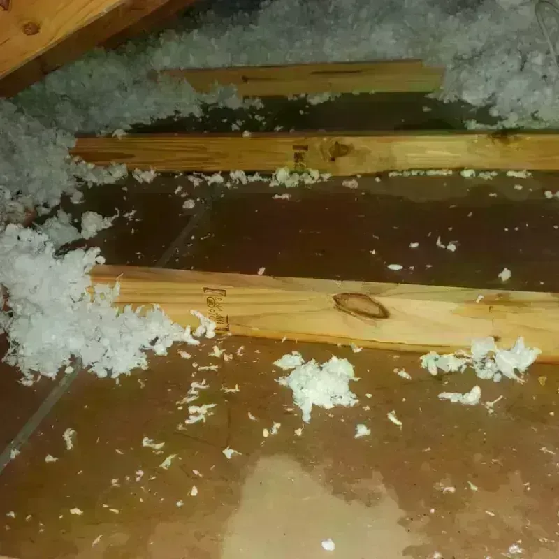 Attic Water Damage in Paducah, KY